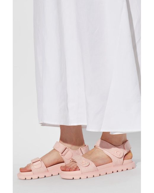 COACH Pink 'Brynn' Sandals