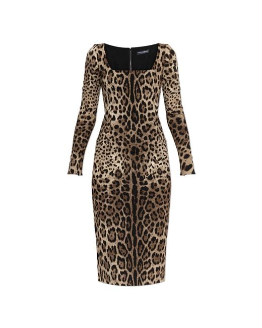Dolce & Gabbana Brown Dress With Animal Print