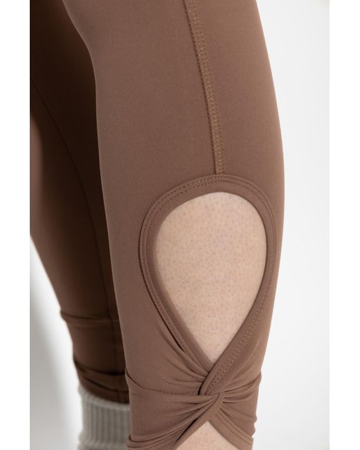 EA7 Brown Training Leggings