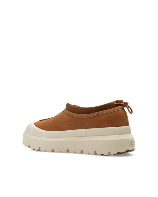 Ugg Brown Sneakers for men