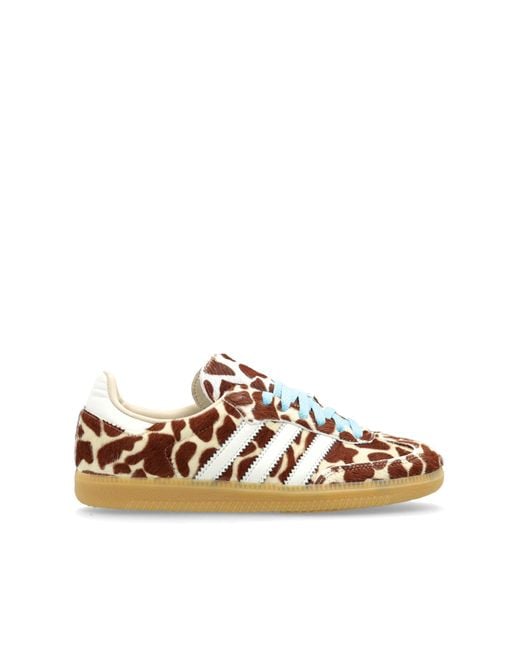 Adidas Originals Brown 'Samba Og' Sports Shoes