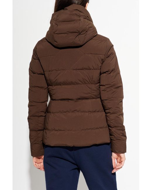 Canada Goose Blue Clair Down Jacket