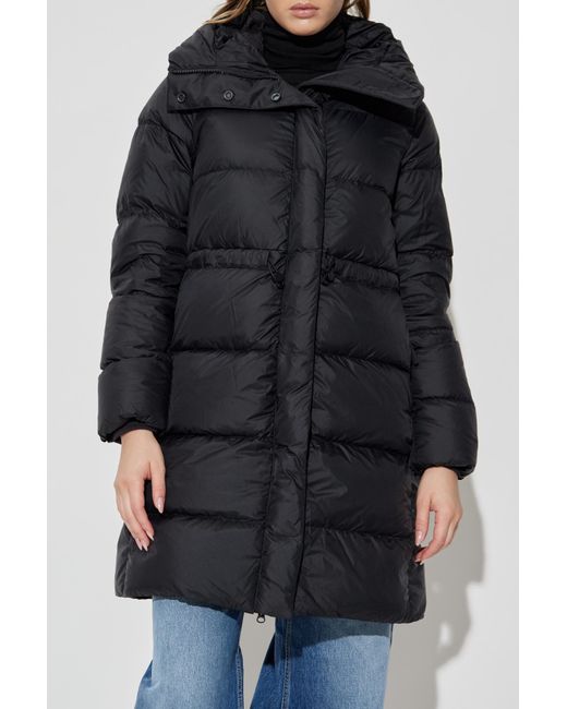 Canada Goose Black Down Jacket With Hood