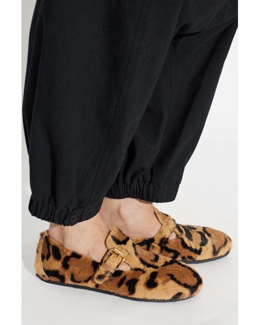 Agl Attilio Giusti Leombruni Brown "Hoola" Animal Print Shoes