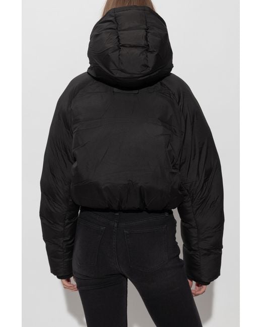 AllSaints Black Short Padded Jacket 'Mae'