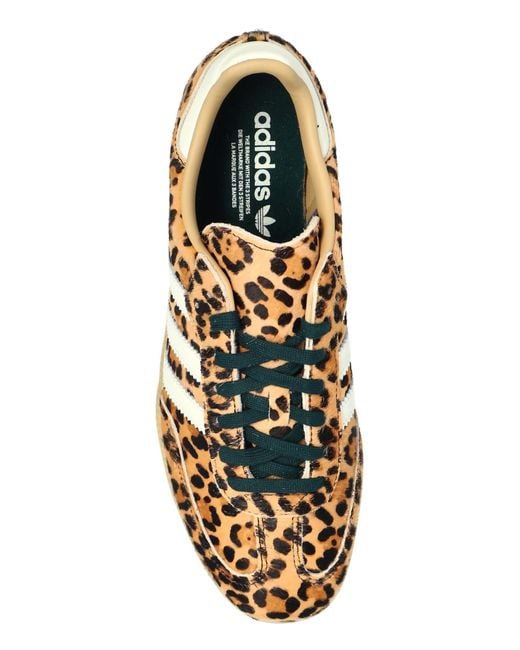 Adidas Originals Brown 'Samba Og W' Sports Shoes