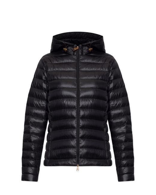 Moncler Black Quilted Jacket 'Igelhood'