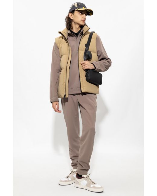theory sweatpants