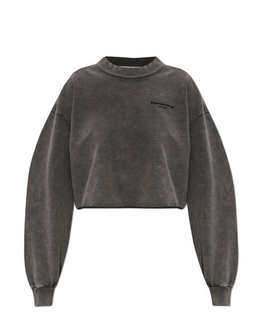 Alexander Wang Gray Sweatshirt With Embroidered Logo