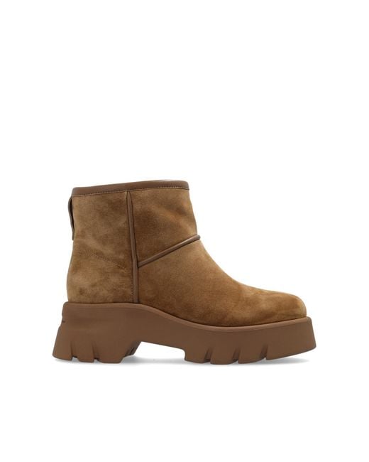 Gianvito Rossi Brown Platform Ankle Boots Stormy