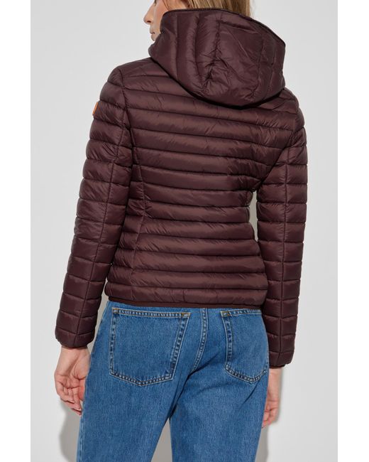 Save The Duck Blue Insulated Jacket "Daisy"