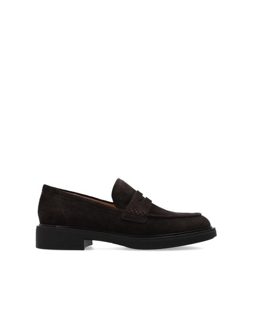 Gianvito Rossi Black Suede 'Harris' Loafers