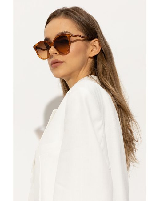 Chloé Brown Sunglasses