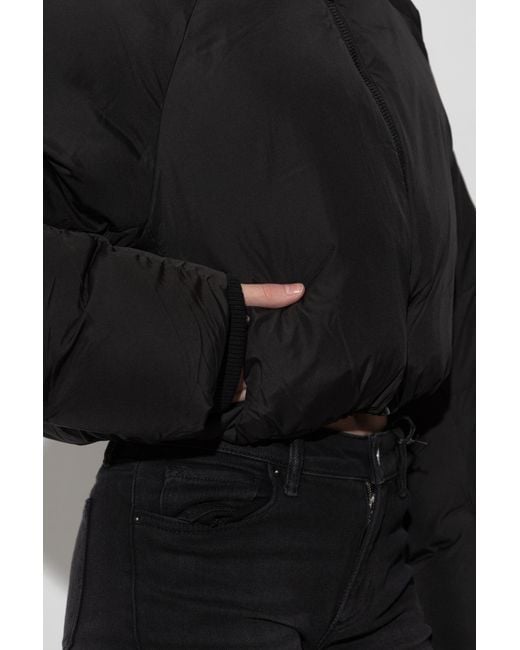 AllSaints Black Short Padded Jacket 'Mae'