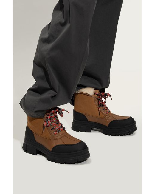 ashton addie ugg boots