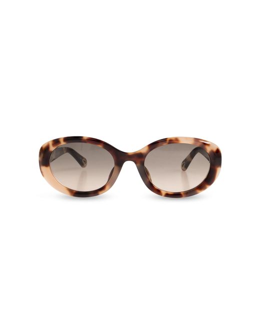 Chloé Brown Sunglasses