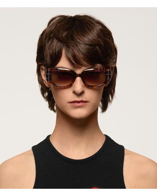Vivienne Westwood Brown Pimlico Sunglasses Acetate