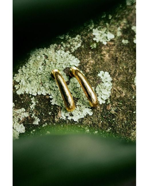 ViX White Leone Earrings