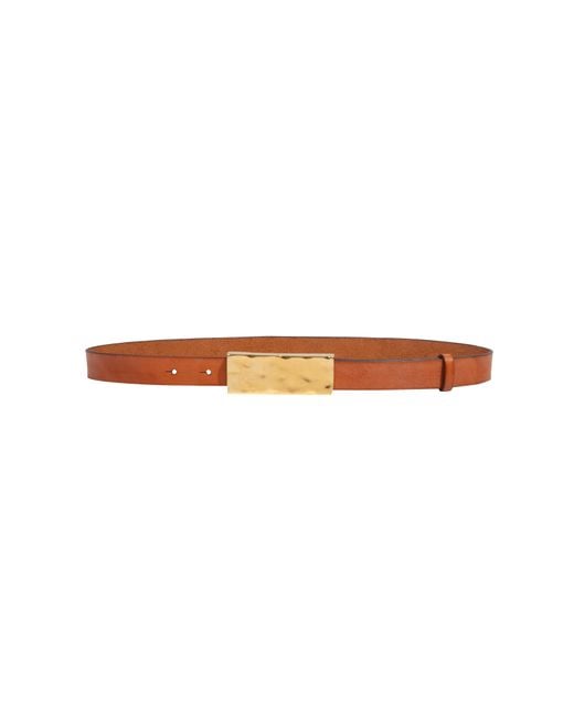 ViX Multicolor Deva Belt