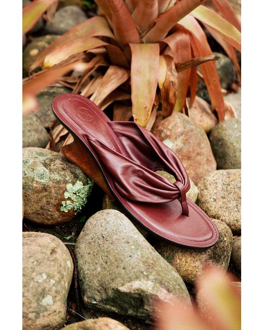 ViX Brown Dahila Mule