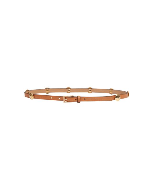 ViX Multicolor Lexi Belt