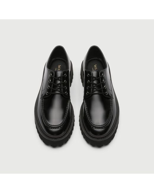 Walk London Black Hopper Lace Shoe for men