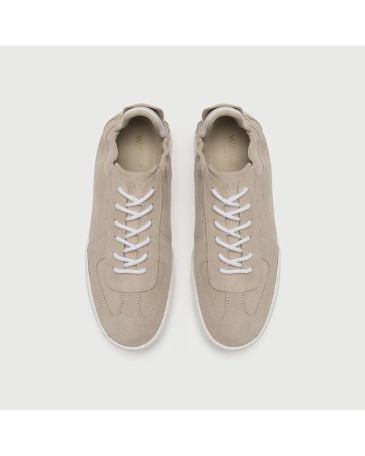 Walk London Multicolor Rimini Trainer for men