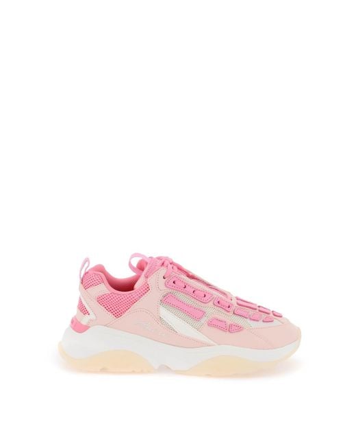 Amiri Pink Bone Sneakers for men