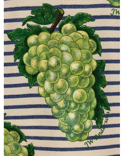 Grape Henley Maglioni Multicolor di J.W. Anderson in Green da Uomo