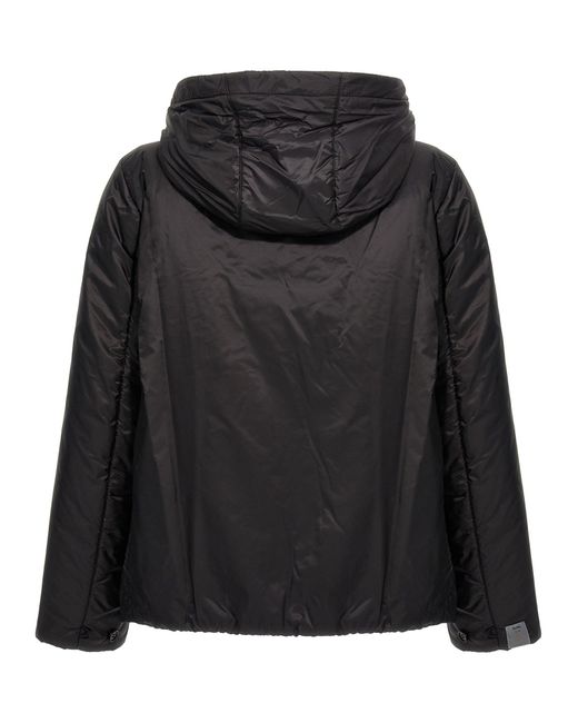 Max Mara Black Greenh