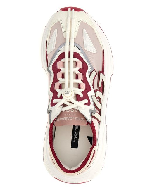 Daymaster Sneakers Multicolor di Dolce & Gabbana in Pink