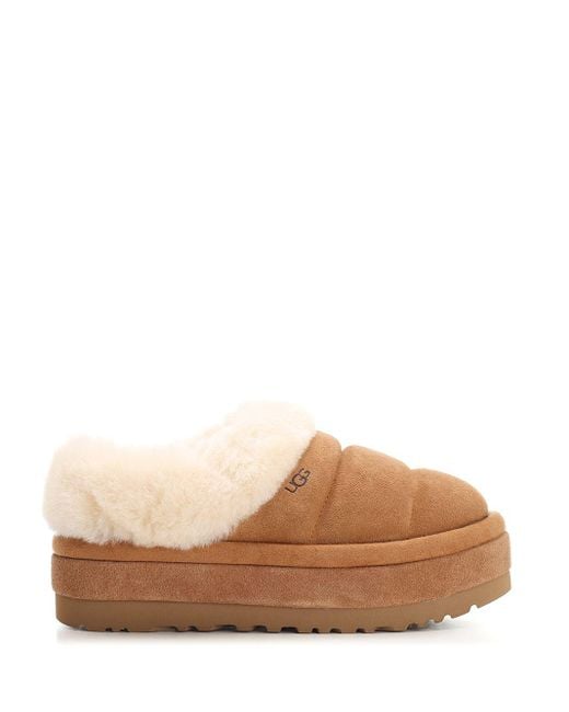 Ugg Brown Tazzlita Scarpe Basse