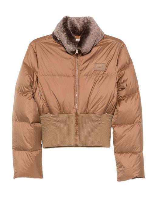 Fendi Brown Heritage Short Down Jacket