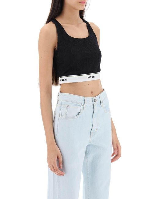 MSGM Black Sports Bra In Lace With Logoed Band