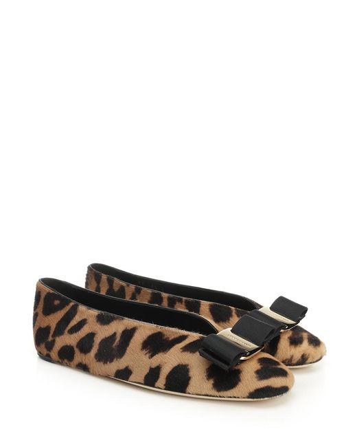 Vara Bow Ballerinas di Ferragamo in Brown