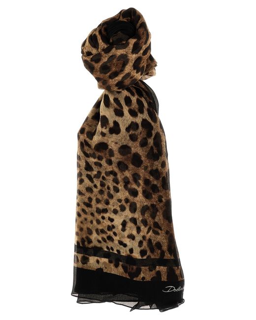 Dolce & Gabbana Multicolor Leopard Scarves, Foulards
