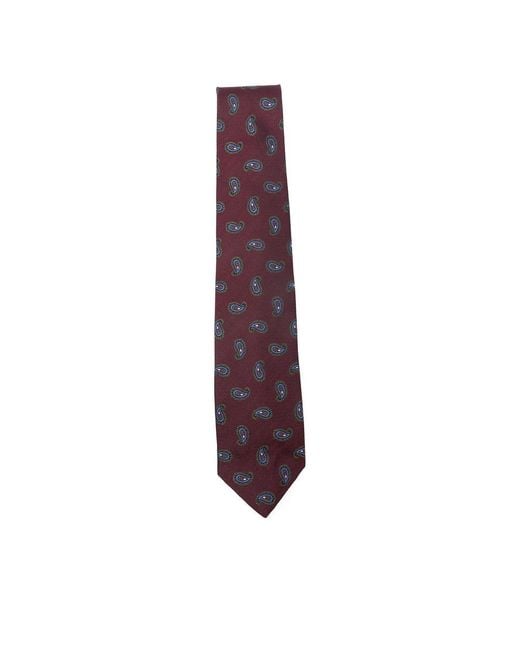 Barba Napoli Purple Fabric Ties & Papillon for men