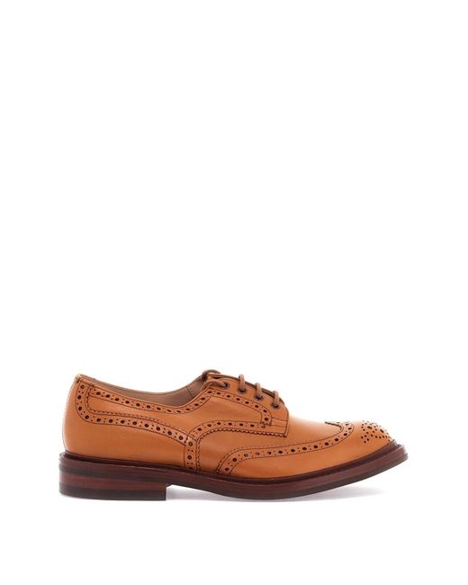 Derby Bourton Brogue di Tricker's in Brown da Uomo