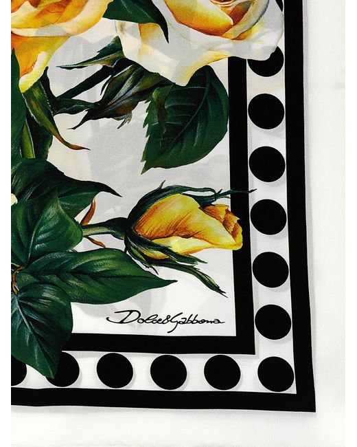 Rose Gialle Sciarpe Multicolor di Dolce & Gabbana in White