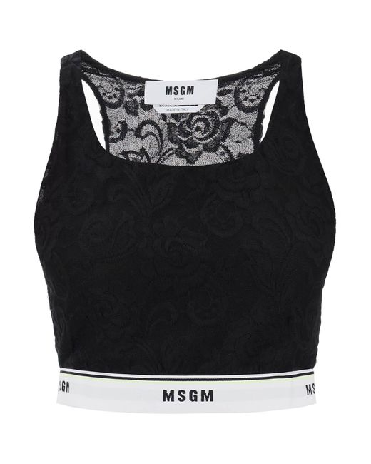 MSGM Black Sports Bra In Lace With Logoed Band