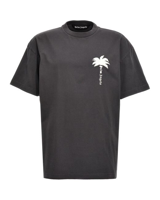 T-shirt con stampa palm tree di Palm Angels in Black da Uomo