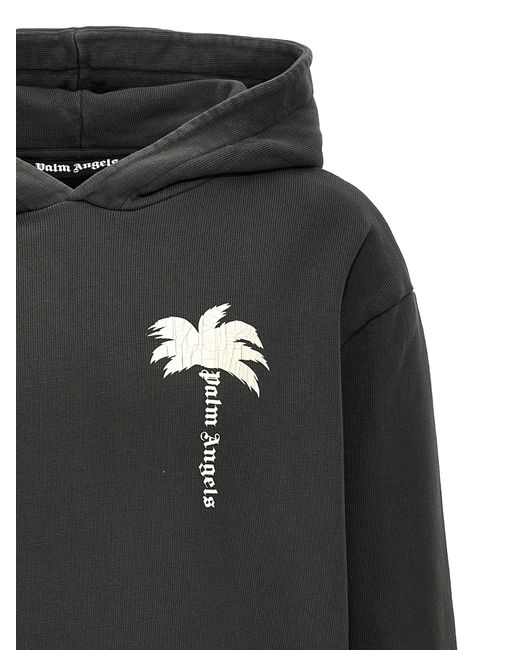 Palm Angels Black The Palm Sweatshirt for men