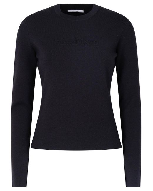 Max Mara Blue Ticino Long-Sleeved Fitted Top