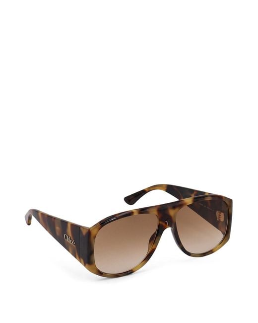 Chloé Brown Acetate Sunglasses