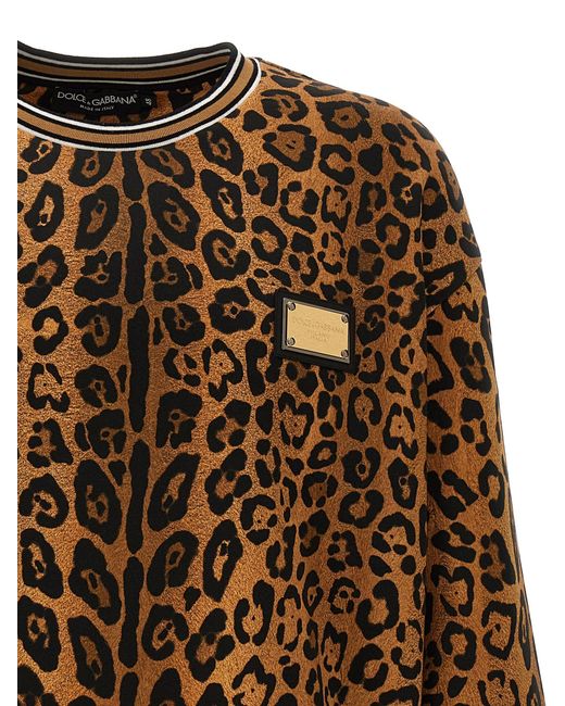 Leopard Print Felpe Marrone di Dolce & Gabbana in Brown da Uomo