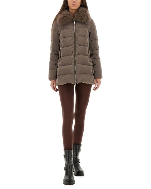 Moorer Brown Dorado" Padded Jacket