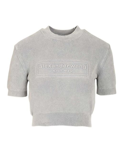 Alexander Wang Gray Short T-Shirt Sweatshirts