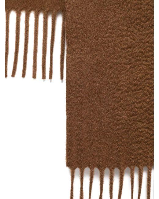 Max Mara Brown Classic Scarf 'Ws Dalia'