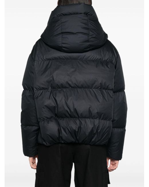 Bacon Black Cloud Down Jacket