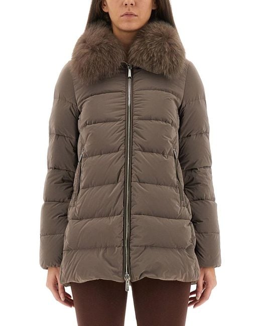 Moorer Brown Dorado" Padded Jacket